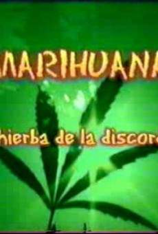 Marihuana, la hierba de la discordia online