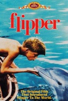Flipper online