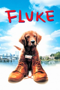 Mi amigo Fluke, película completa en español