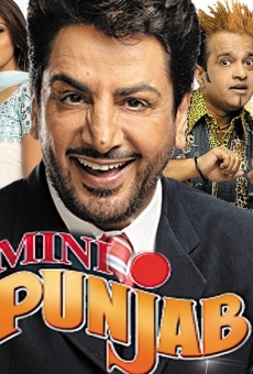 Mini Punjab online free