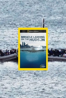 Miracle Landing on the Hudson online kostenlos