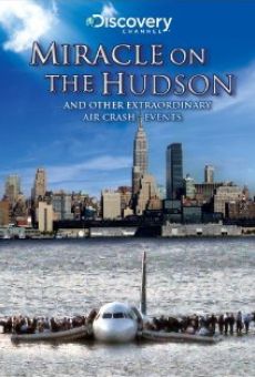 Miracle of the Hudson Plane Crash online kostenlos