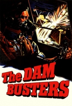 The Dam Busters online