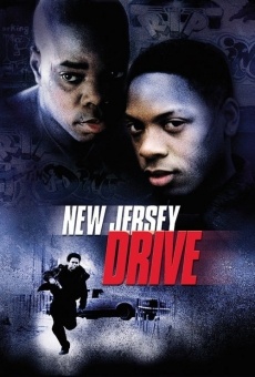 New Jersey Drive gratis
