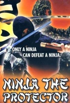 Ninja: The Story kostenlos