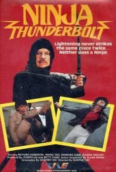Ninja Thunderbold gratis