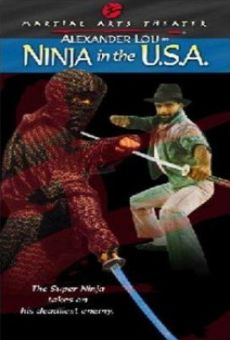 USA Ninja online