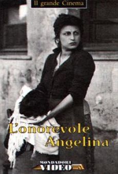L'onorevole Angelina online