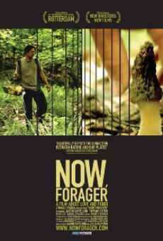 Now, Forager online