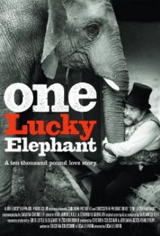 One Lucky Elephant online
