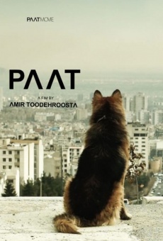 Paat online free