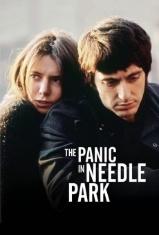 Panico a Needle Park online