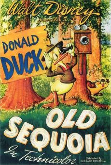 Walt Disney's Donald Duck: Old Sequoia online
