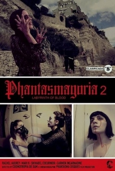 Watch Phantasmagoria 2: Labyrinths of blood online stream