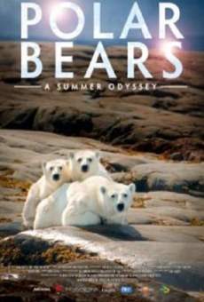 Polar Bears: A Summer Odyssey en ligne gratuit