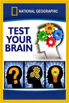 Test Your Brain online