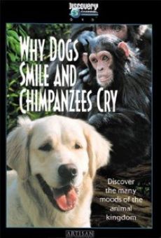 Why Dogs Smile & Chimpanzees Cry online
