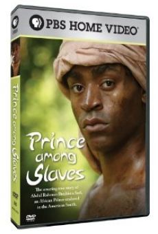 Prince Among Slaves online kostenlos