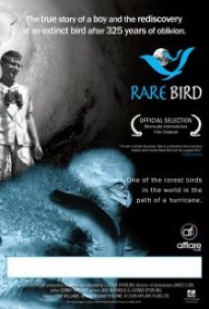Rare Bird online