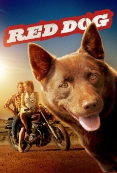 Red Dog online free