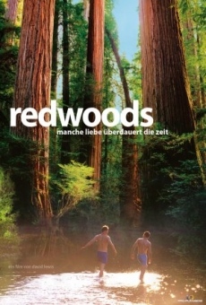 Redwoods online