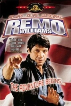 Remo Williams: The Adventure Begins online