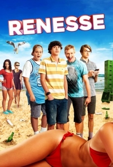 Renesse kostenlos