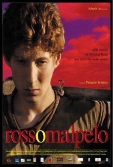 Rosso Malpelo online free