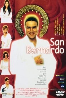 San Bernardo online kostenlos