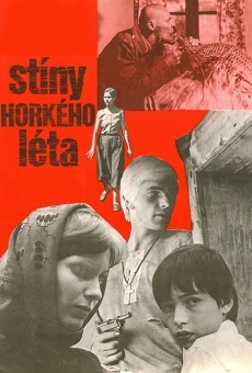 Stíny horkého léta