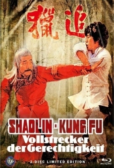 Shaolin Kung Fu Master en ligne gratuit