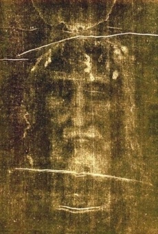 Shroud of Turin Material Evidence online