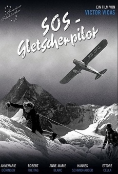 SOS Gletscherpilot online