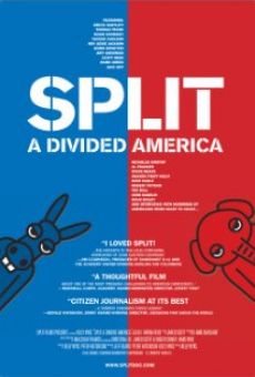 Split: A Divided America