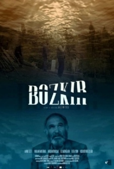 Bozkir online