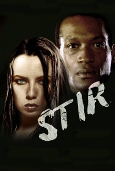 Stir online free