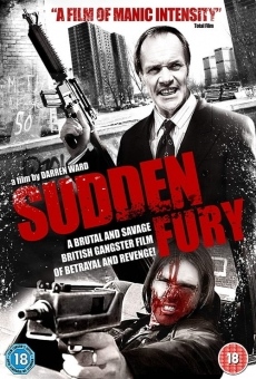 Sudden Fury kostenlos