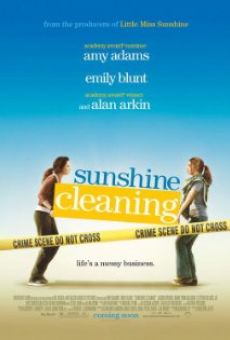 Sunshine Cleaning online