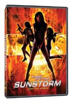 Ver película Sunstorm