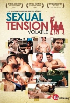 Sexual Tension, Volume 1: Flüchtige Blicke
