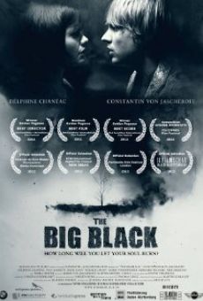 The Big Black online