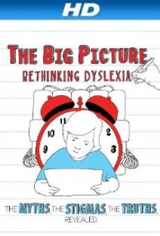 The Big Picture: Rethinking Dyslexia online