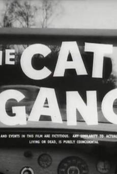 The Cat Gang online