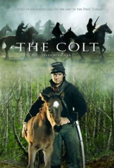 The Colt online
