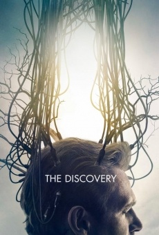The Discovery online