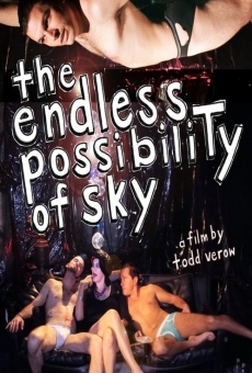 The Endless Possibility of Sky online kostenlos