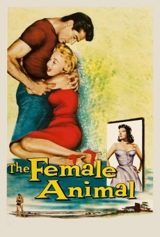 The Female Animal gratis