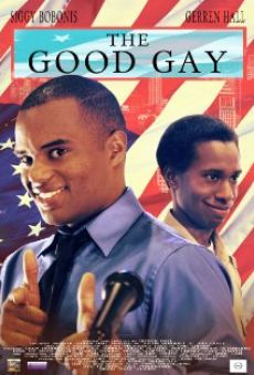 Película: The Good Gay