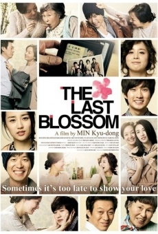 The Last Blossom online