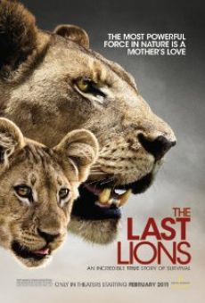 The Last Lions online kostenlos